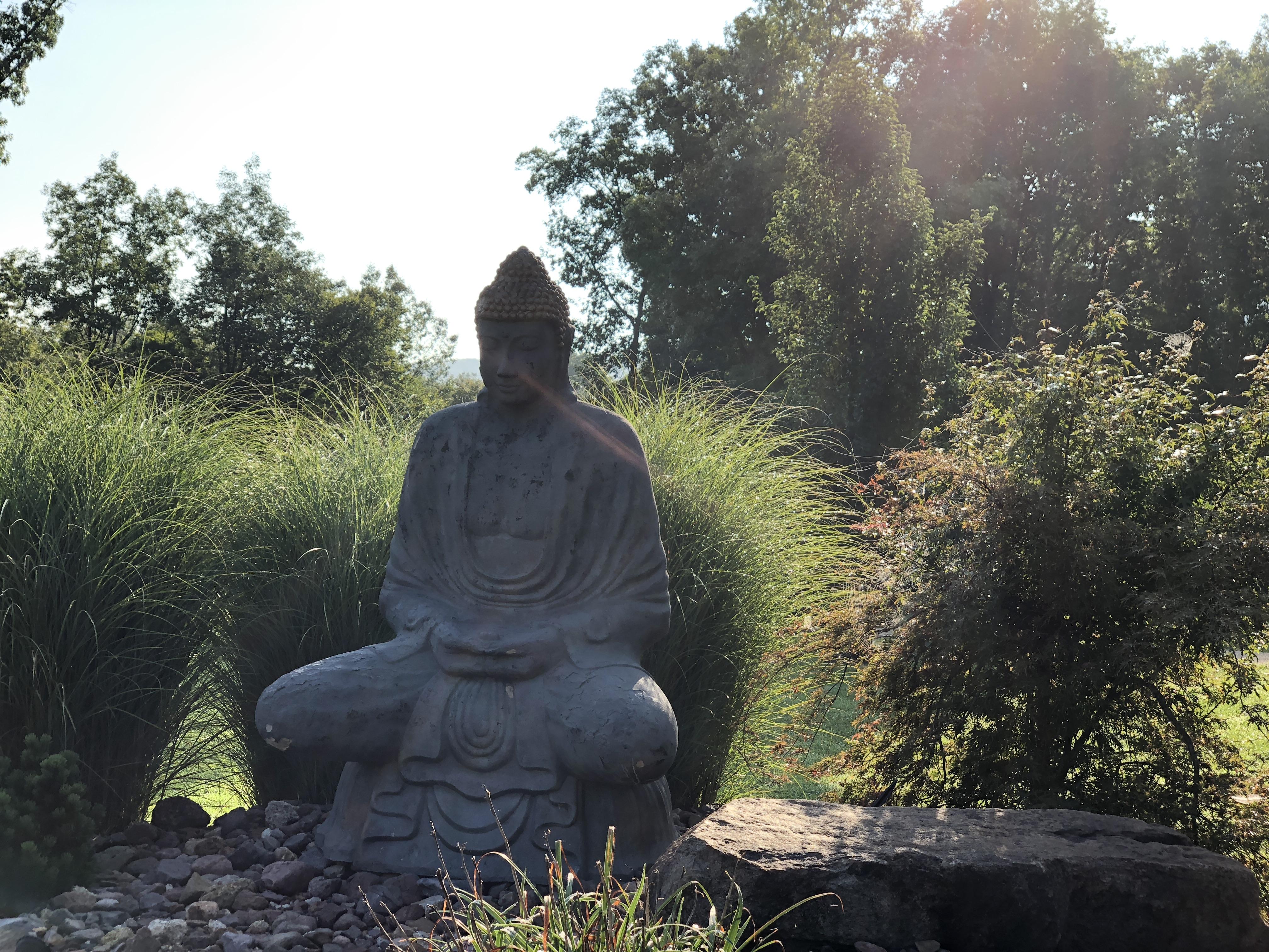 Buddha at DSMC